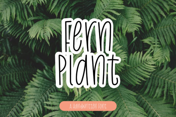 Fern Plant: A Handwritten Font That Feels Like Home