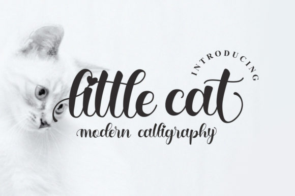 Little Cat: A Delicate Handwritten Font for Thoughtful Web Design