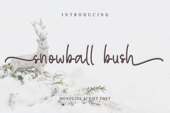 Snowball Bush: A Handwritten Font That Makes Your Brand Feel Inviting