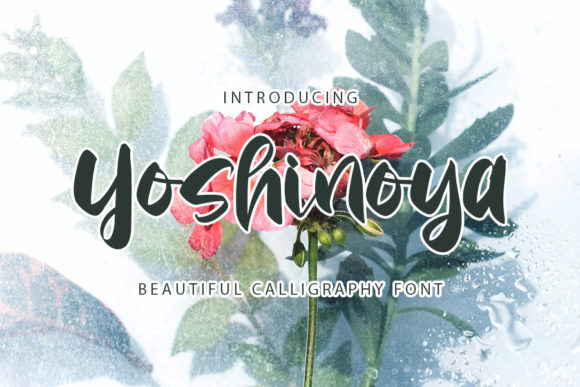 Yoshinoya: A Script Amp That Earns Its Space